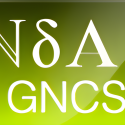 INdAM GNCS