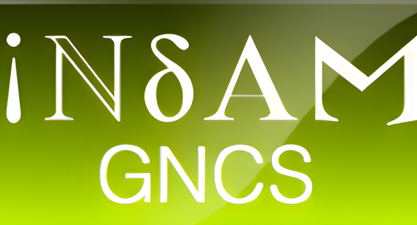 INdAM GNCS