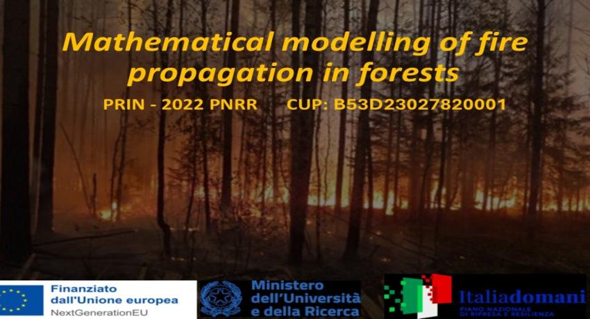  fire propagation in forests