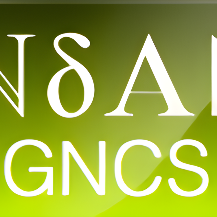 INdAM GNCS
