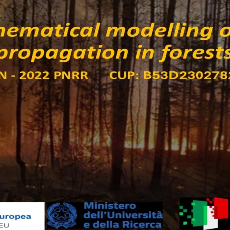  fire propagation in forests