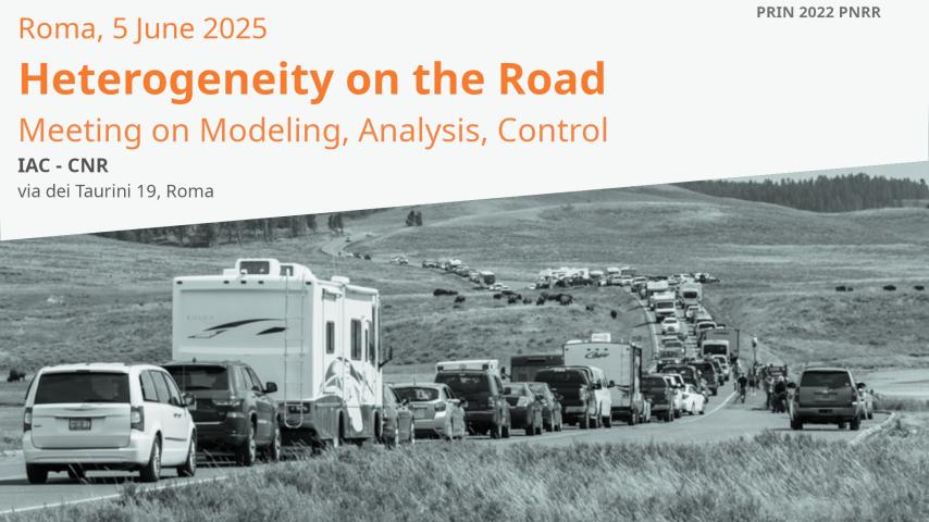 Heterogeneity on the Road