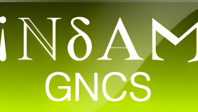 INdAM GNCS