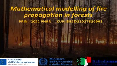  fire propagation in forests